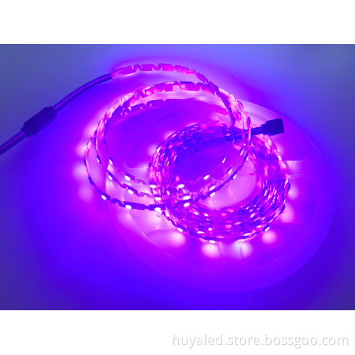 Flexible LED Strip Lights DC 12V 24V S Type 5050 48 LEDs/m for Holiday Decorations